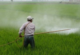 Les pesticides, une menace pour la biodiversité terrestre