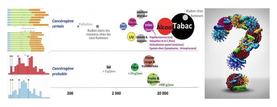 Fréquence et causes des cancers en France