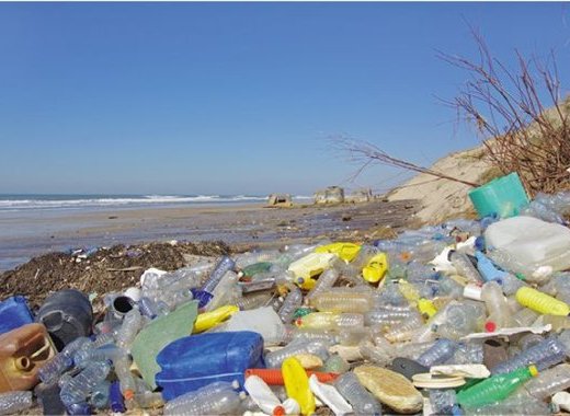 Biosourcé : quand le plastique se met au vert