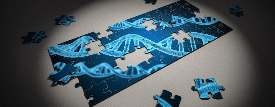  [Webconférence - 26 Octobre 2021] L'ADN des fossiles, une machine à remonter dans le temps