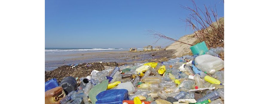 Biosourcé : quand le plastique se met au vert